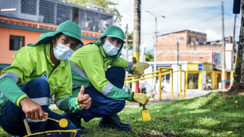 ‘Guardianes Verdes’  ponen bonita a Ibagué
