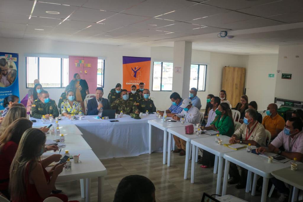 Tolima une esfuerzos para prevenir la violencia contra las mujeres