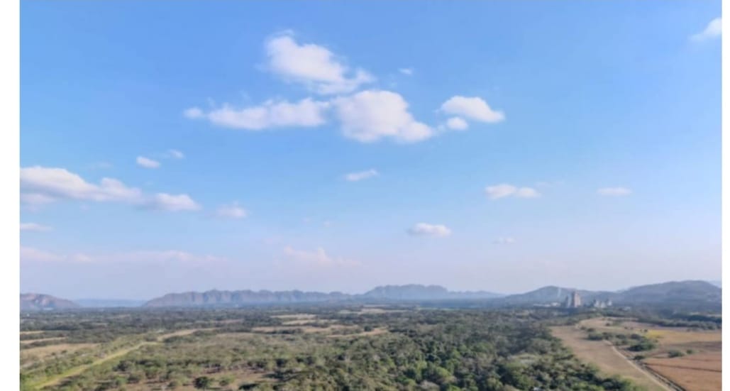 Cortolima celebró el Día de los Humedales e invita a conocer la Laguna el Toro