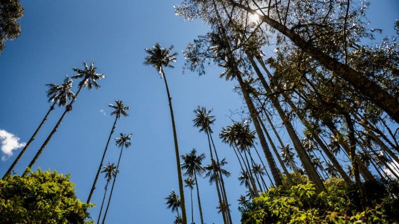 Lanzan campaña ‘Semana Santa con Responsabilidad’ para cuidar la naturaleza