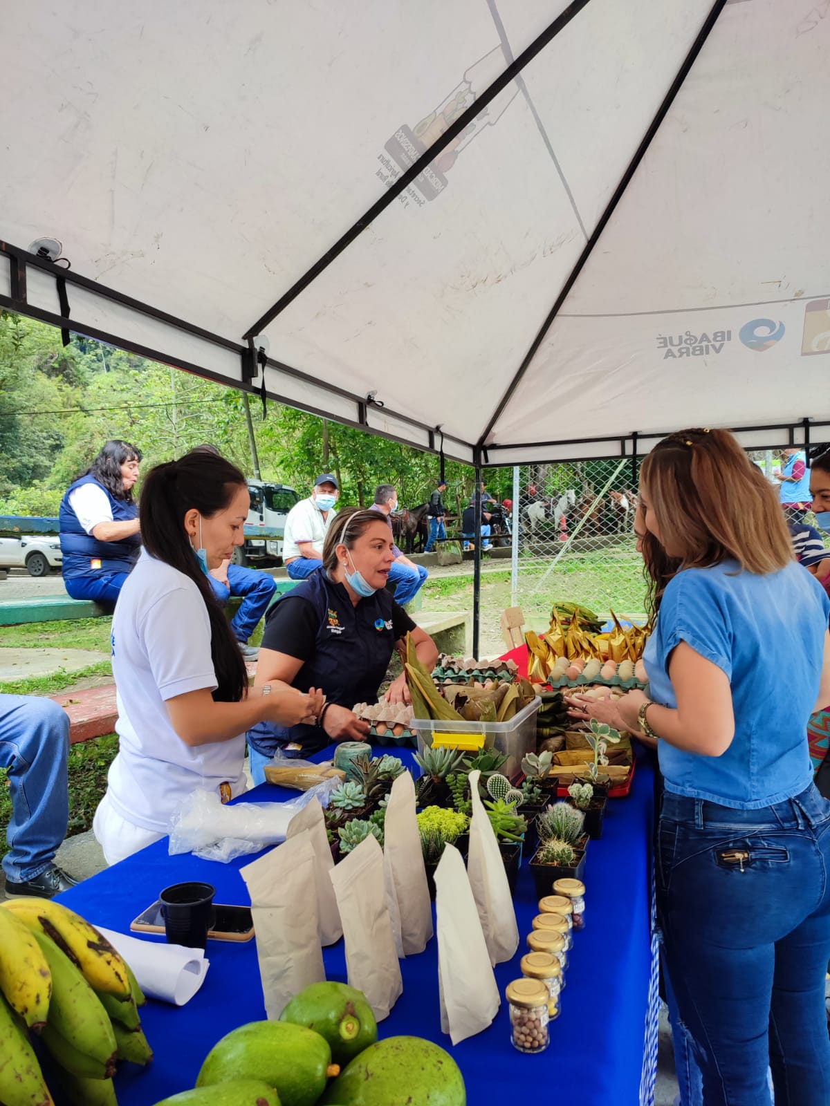 Mercados Campesinos incentivan la economía de los productores de Ibagué