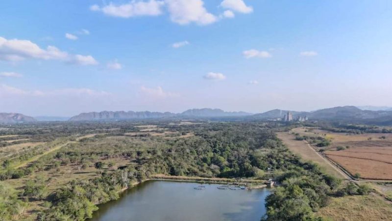 Cortolima celebró el Día de los Humedales e invita a conocer la Laguna el Toro