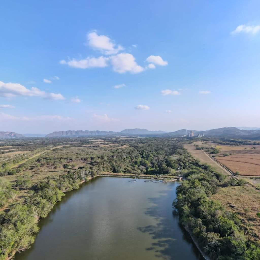 Cortolima celebró el Día de los Humedales e invita a conocer la Laguna el Toro