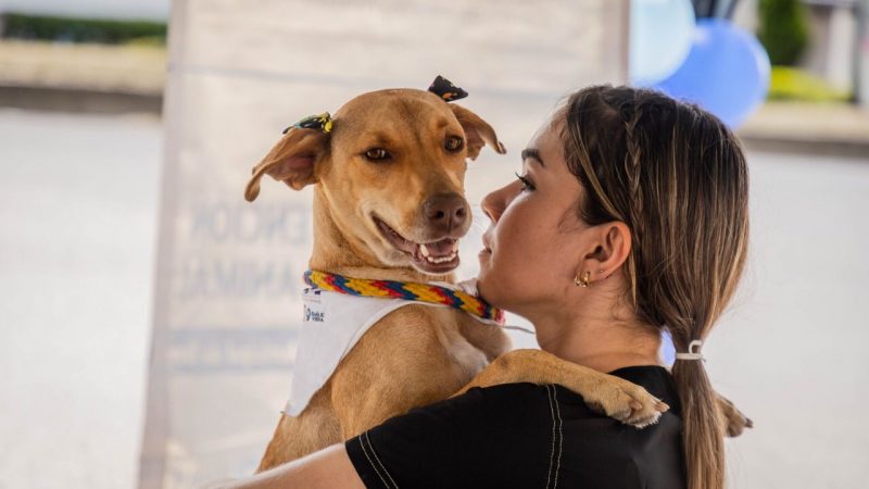 El Capa realizó más de 2.013 esterilizaciones en el primer semestre