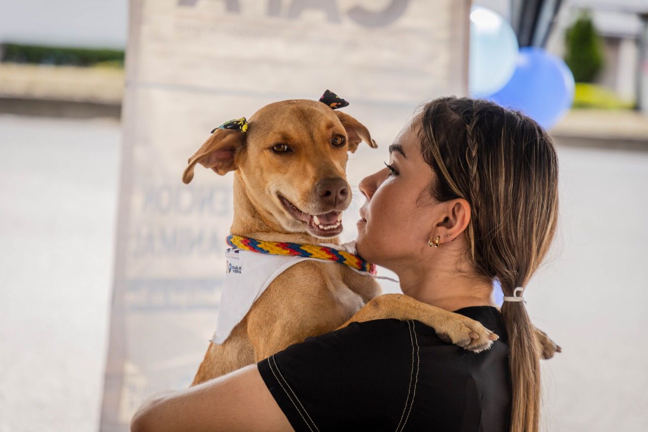El Capa realizó más de 2.013 esterilizaciones en el primer semestre