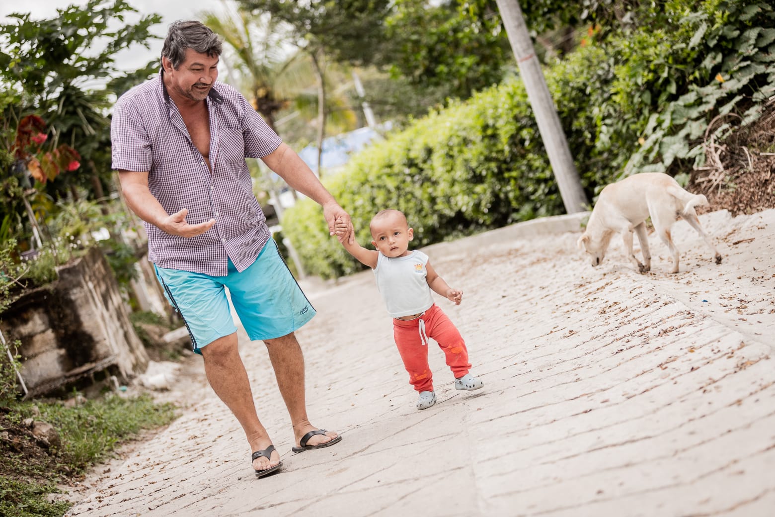 Mejores vías y mayor productividad en el campo, grandes apuestas de Ibagué
