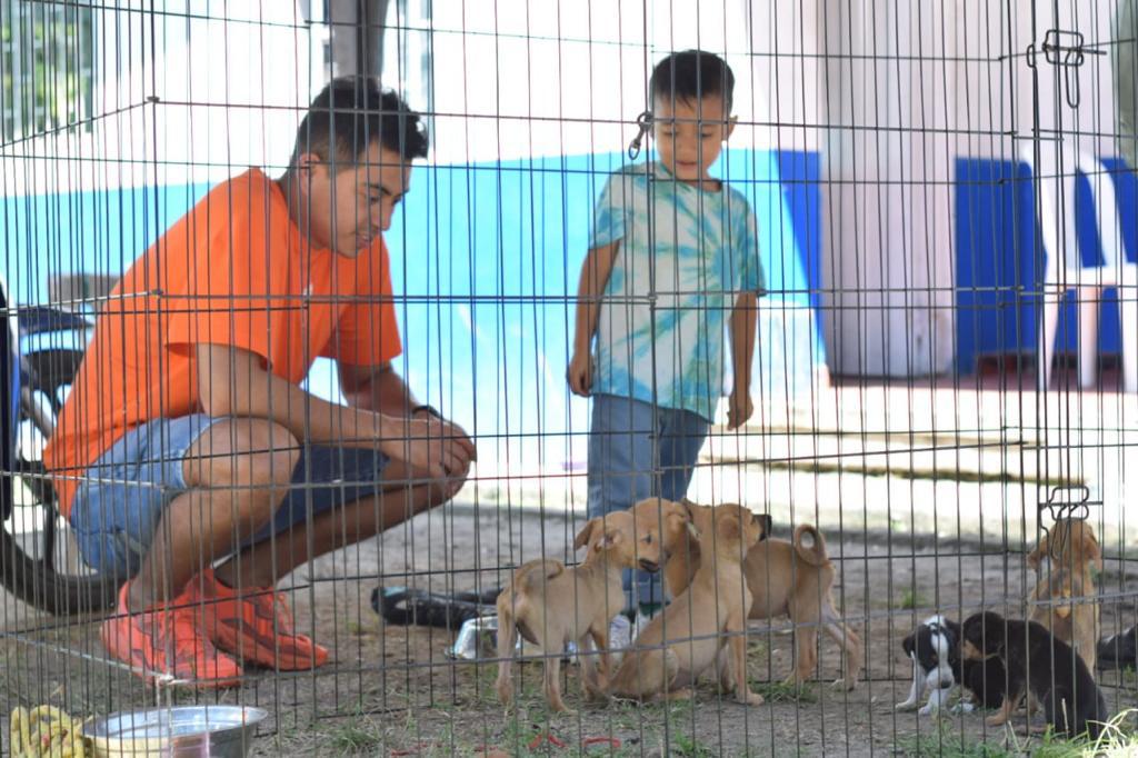 Familias ibaguereñas les siguen abriendo las puertas de su hogar a los peluditos
