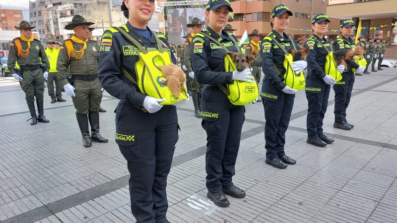 Desde Ibagué, Policía lanzó plan de seguridad