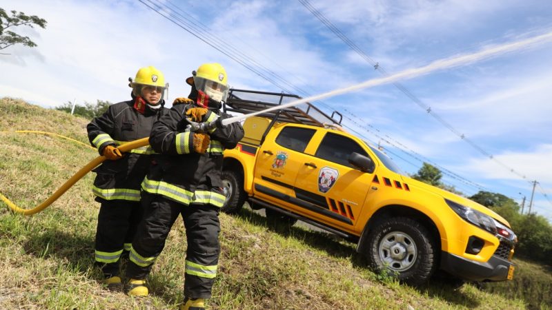 La siembra de árboles y apoyo a bomberos fueron fortalecidas en ibague