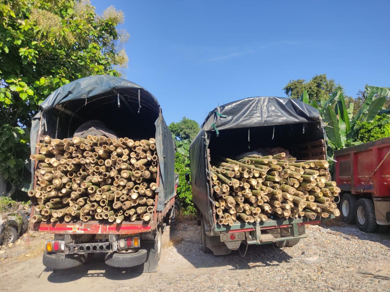 Incautan guadua transportada sin el salvoconducto unico de movilización