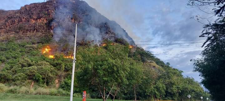 Cortolima invita a reportar incendios forestales que se presente en la región