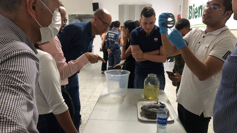 Cortolima capacitó a funcionarios del sobre el manejo de accidentes ofídicos