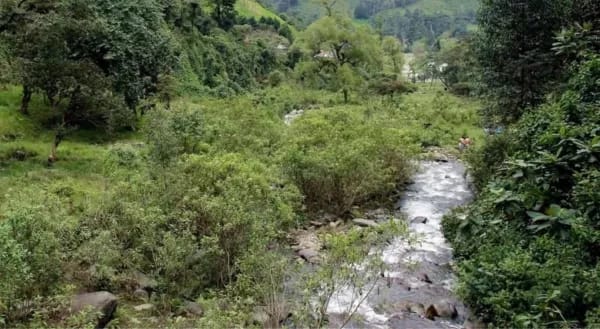 Cortolima lidera plan integral de protección a la ronda hídrica del río Chipalo
