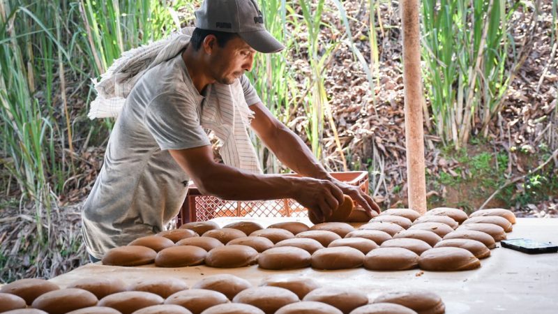 Cortolima mejora hornillas paneleras en Mariquita y disminuye la contaminación