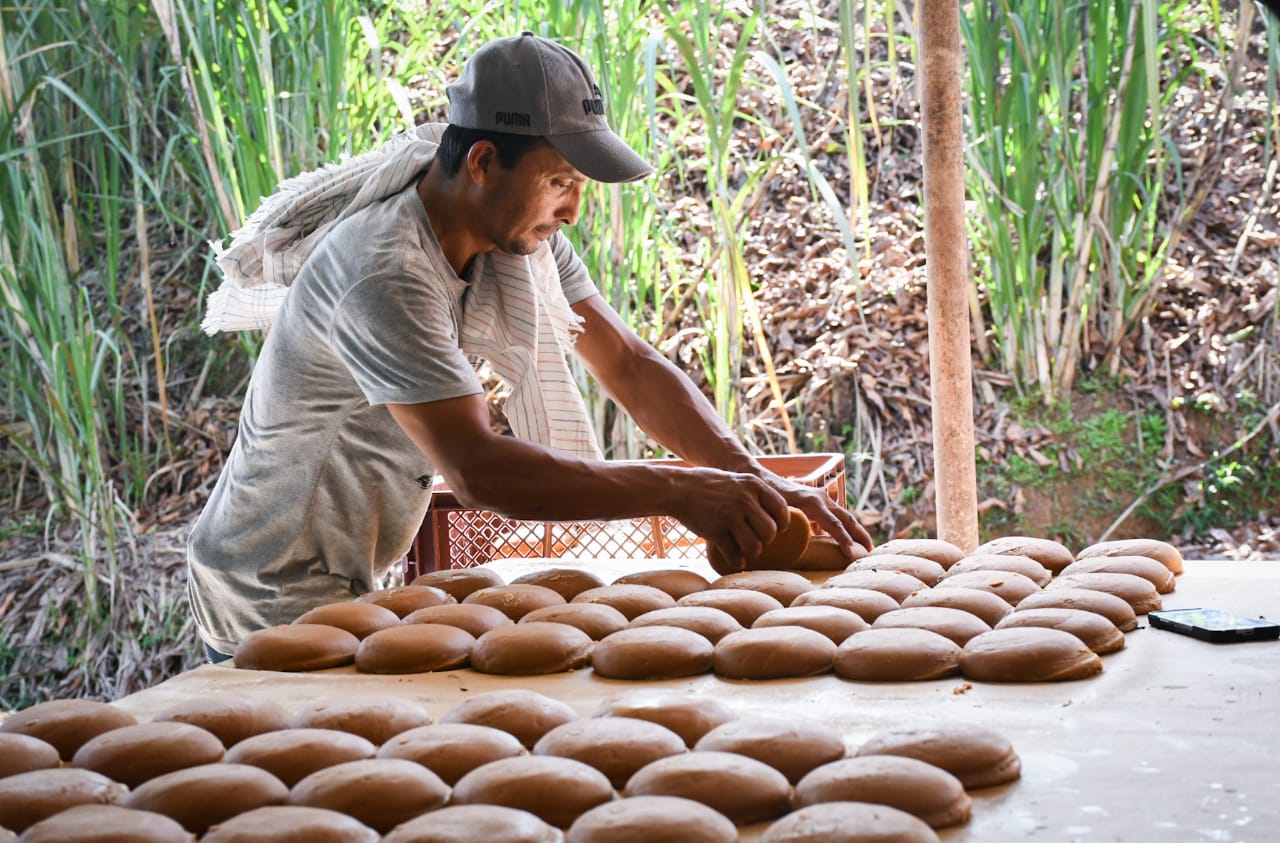 Cortolima mejora hornillas paneleras en Mariquita y disminuye la contaminación