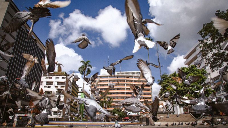 Tolima con índice de pobreza multidimensional más bajo de los últimos 10 años