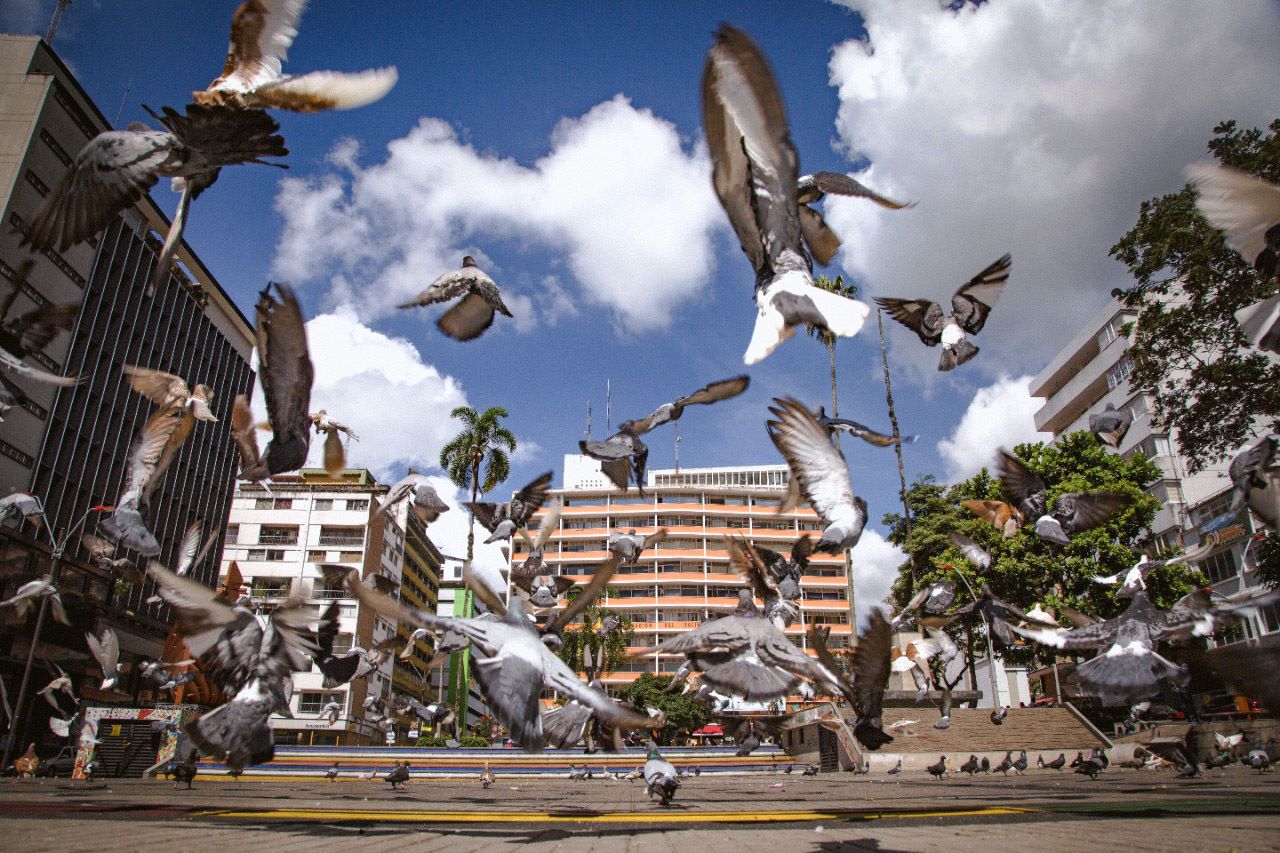 Tolima con índice de pobreza multidimensional más bajo de los últimos 10 años