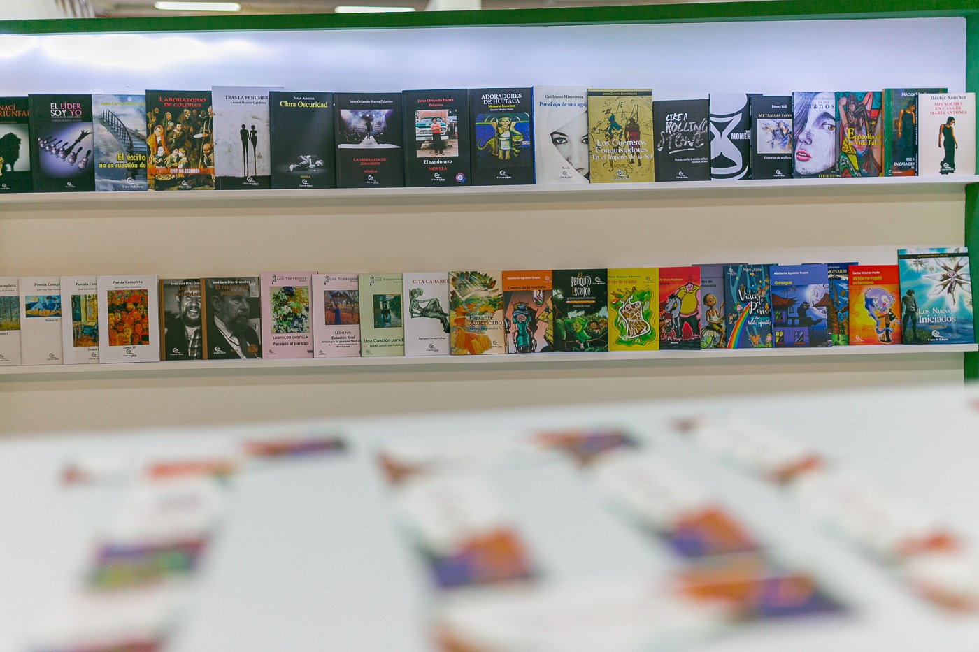 Escritores tolimenses independientes en el Festival del Libro del Tolima