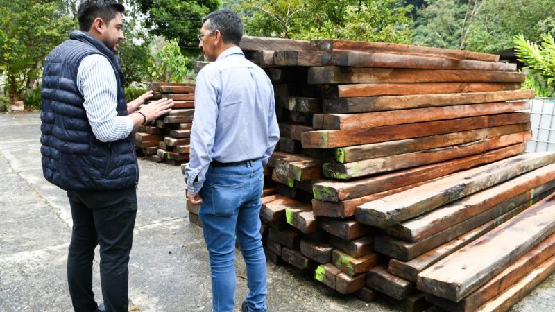 Cortolima realizó entrega de madera a alcaldías del Tolima