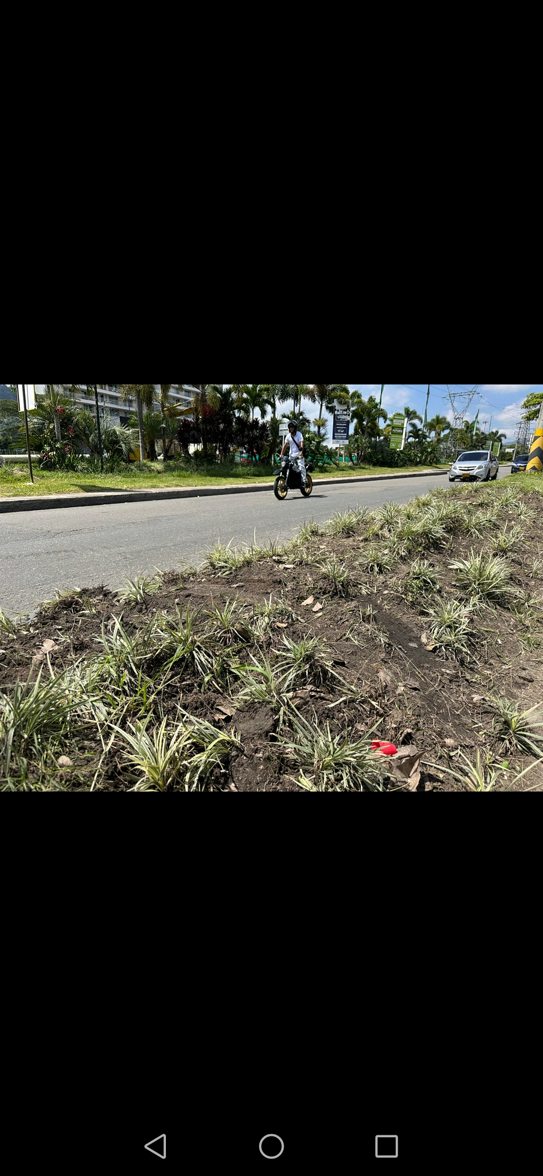 No hay derecho! Otro caso de falta de cultura ciudadana en Ibagué