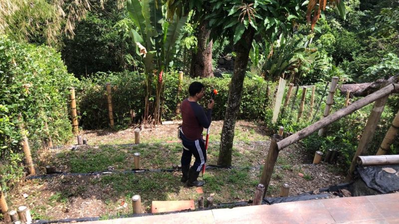 Proyecto Ciudadano de Educación Ambiental implementa medidas anti-erosión en barrio de Ibagué