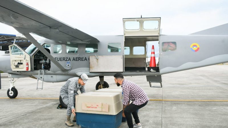 Cortolima trasladó animales al Parque de Conservación en Medellín
