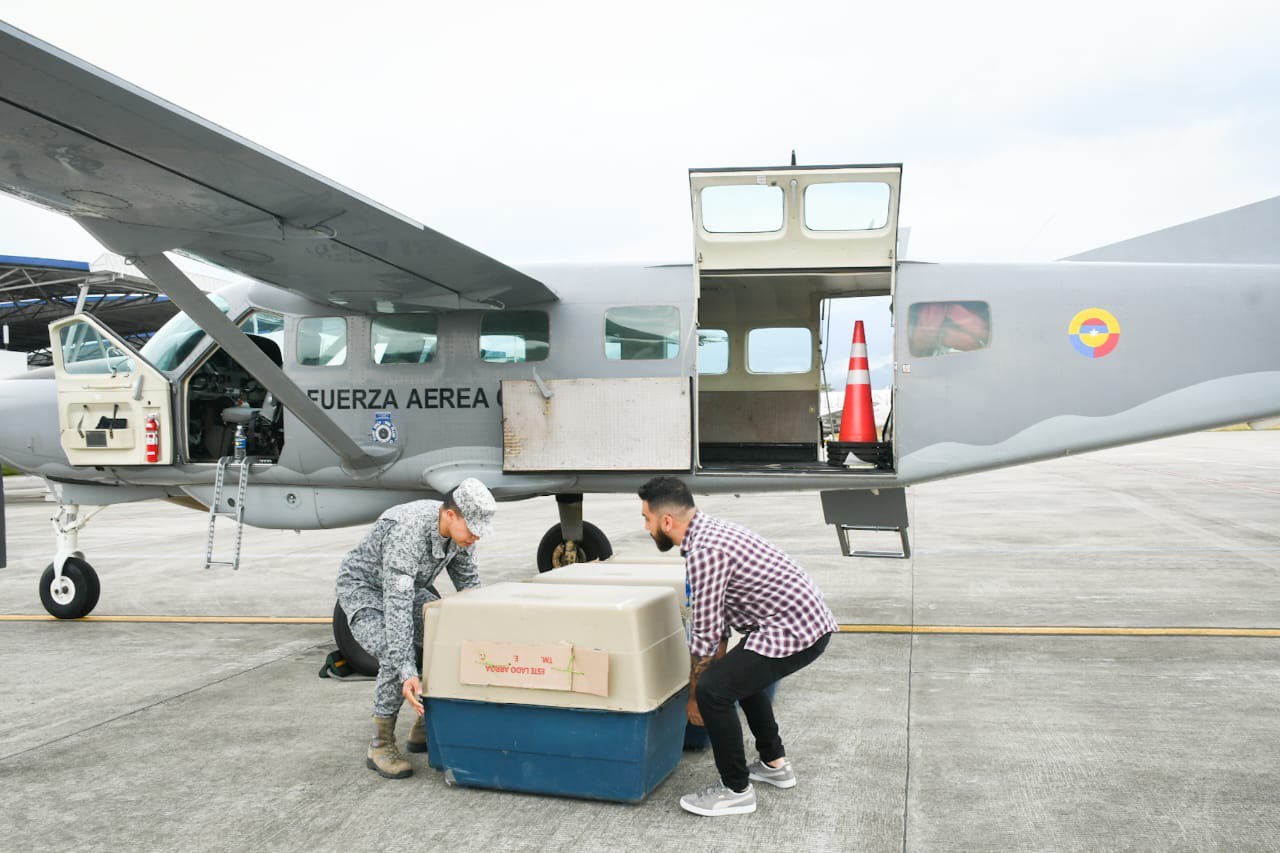 Cortolima trasladó animales al Parque de Conservación en Medellín