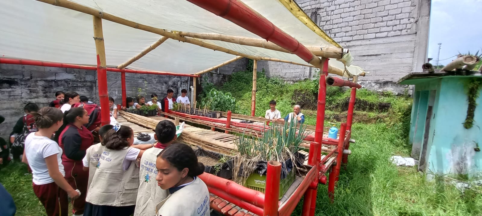 Estudiantes de 8 municipios del Tolima se benefician con viveros del proyecto Expedición Arcoíris