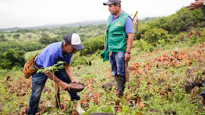 Cortolima restaura predios en cinco resguardos indígenas