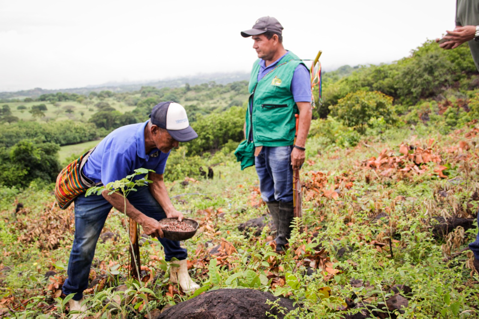 Cortolima restaura predios en cinco resguardos indígenas