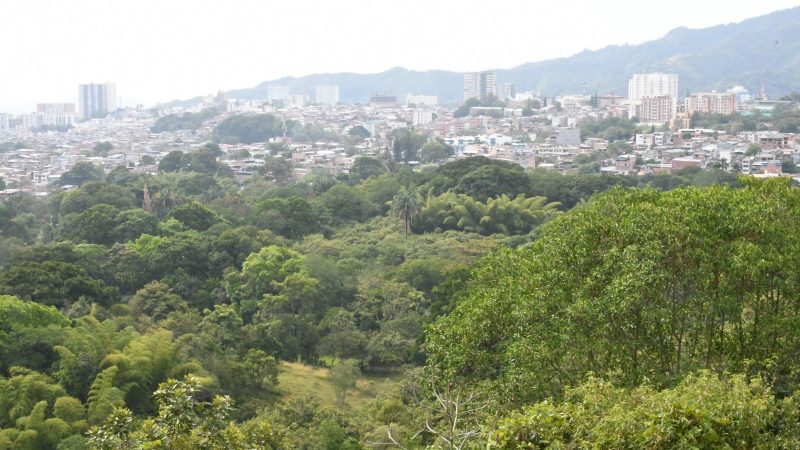 Ibagué será sede de Encuentro Regional del Tolima Grande rumbo a la COP16
