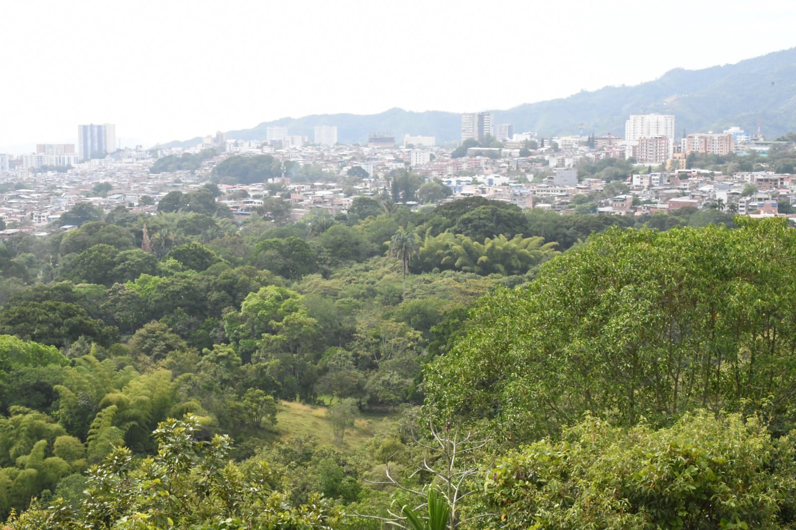 Ibagué será sede de Encuentro Regional del Tolima Grande rumbo a la COP16
