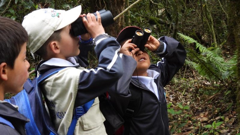 Más de 700 menores participarán en avistamientos de aves con la Expedición Arcoíris