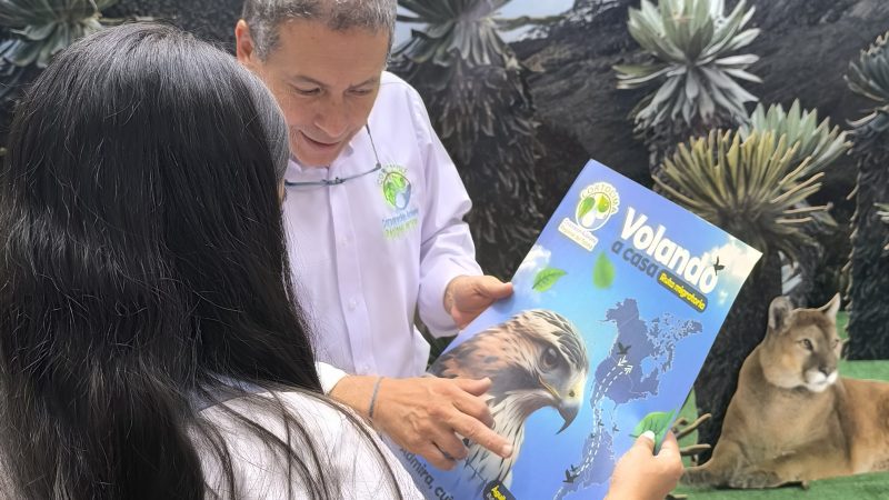 Pilas! A cuidar las palmas del bosque y las águilas cuaresmeras