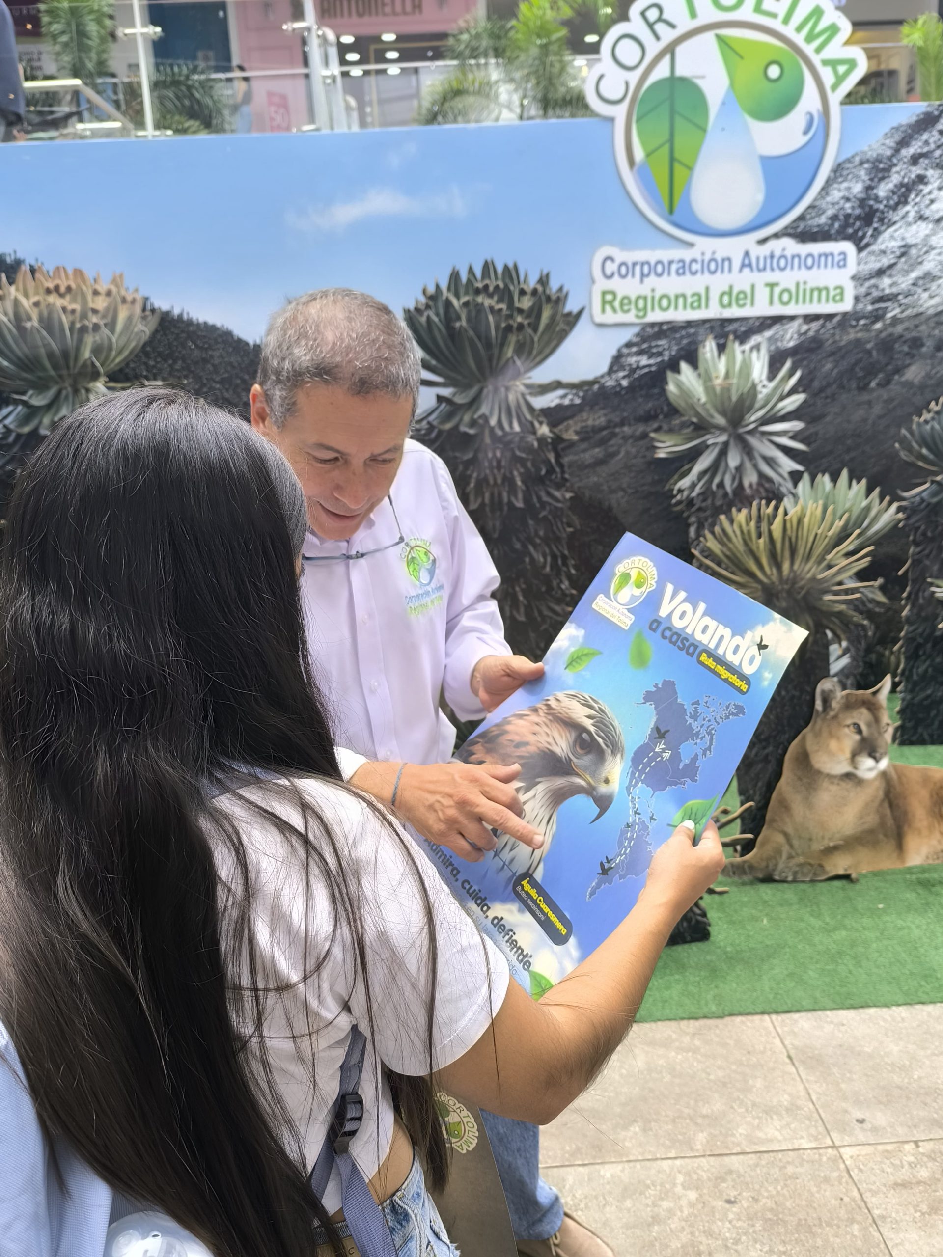 Pilas! A cuidar las palmas del bosque y las águilas cuaresmeras
