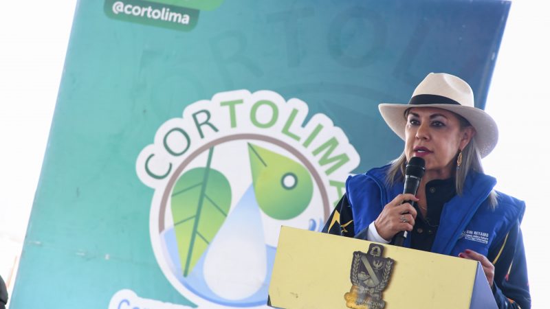 Cortolima entre las mejores corporaciones del país