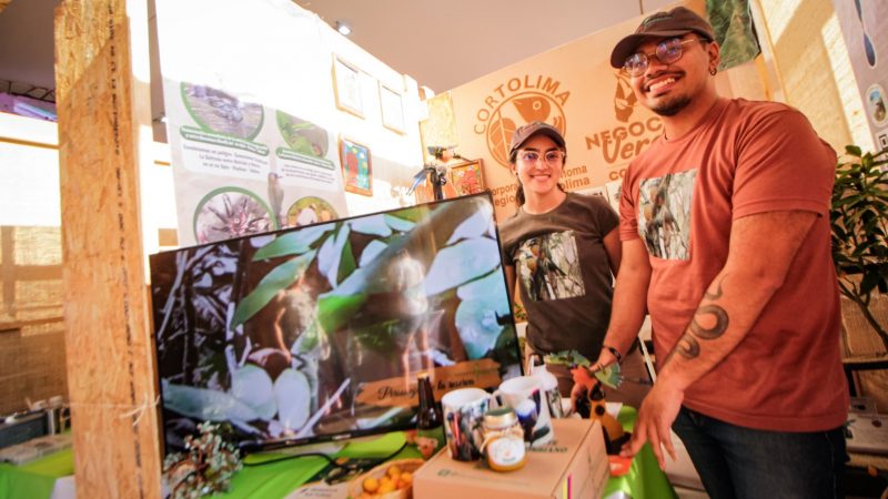 Tienes un emprendimiento sostenible? Postúlate al sello de Negocio Verde