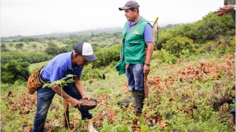 Restauración ecológica y construcción de reservorios en resguardos indigenas deCoyaima, Natagaima y Ortega