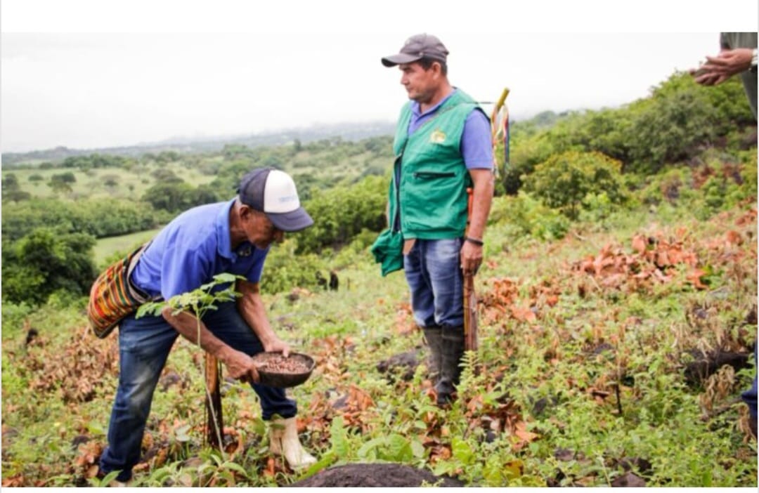 Restauración ecológica y construcción de reservorios en resguardos indigenas deCoyaima, Natagaima y Ortega