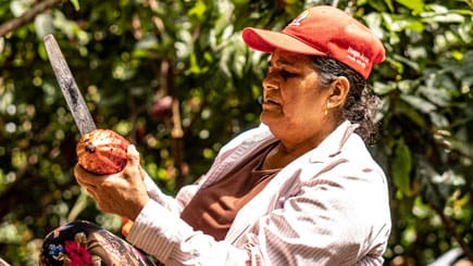 ¿Por qué son tan importantes las iniciativas de Negocios Verdes en Tolima?