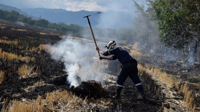 Conozca los planes de Cortolima para atender y prevenir incendios forestales