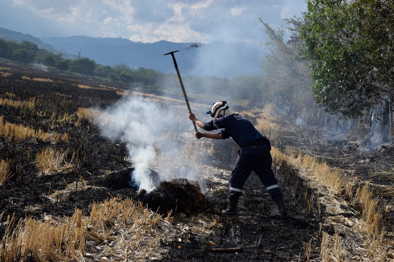 Conozca los planes de Cortolima para atender y prevenir incendios forestales