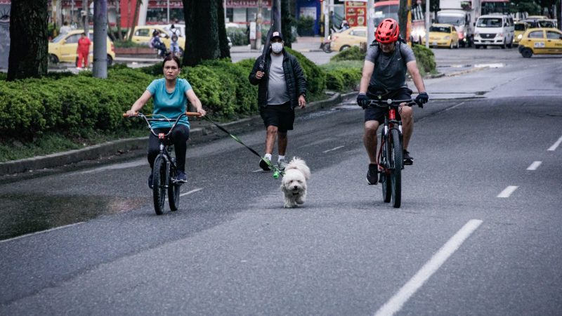 Cortolima se suma a la jornada de Día sin carro y sin moto en Ibagué