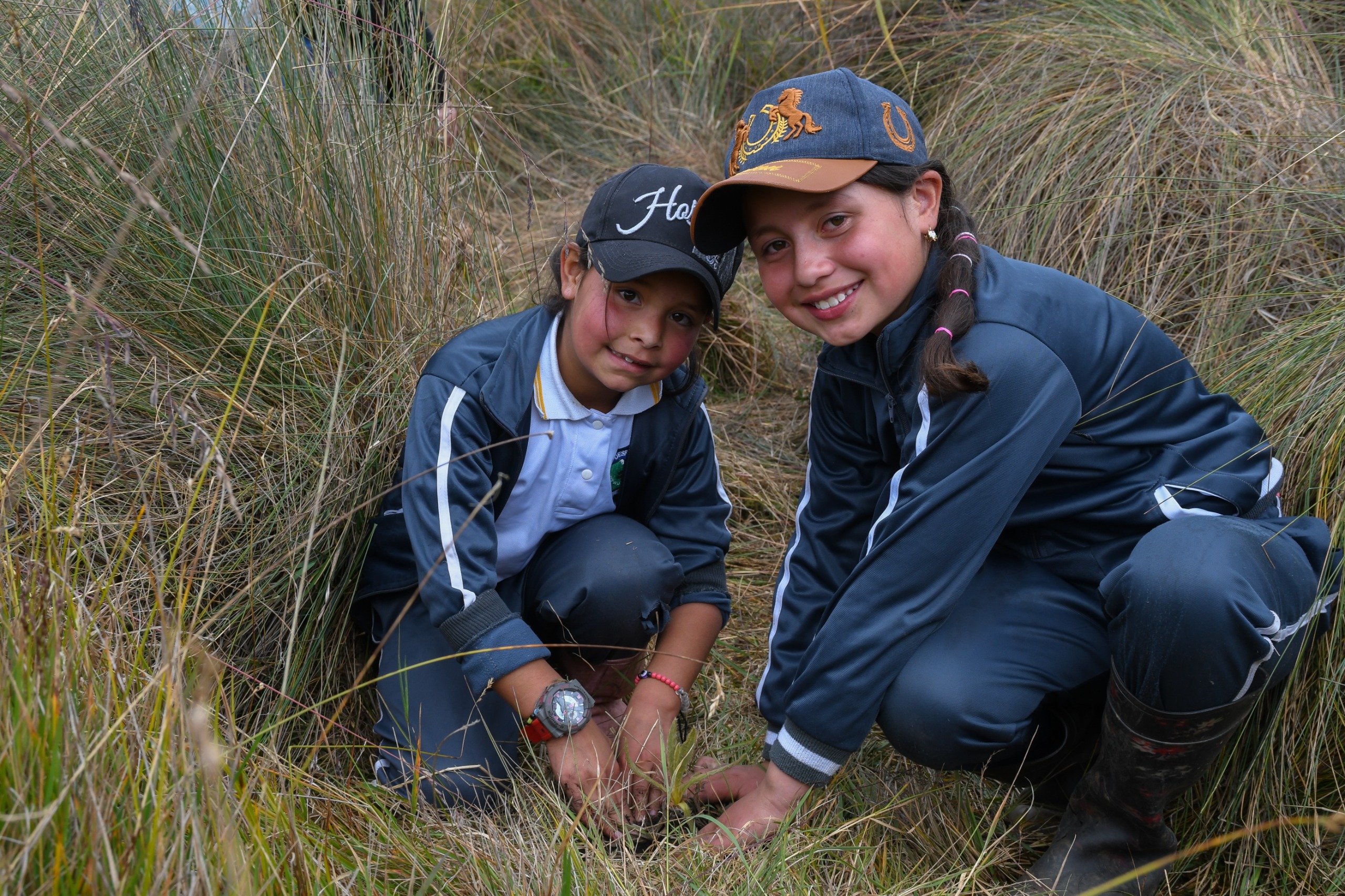 Corporaciones Autónomas Regionales impulsan la conservación de páramos con siembra de frailejones en Murillo