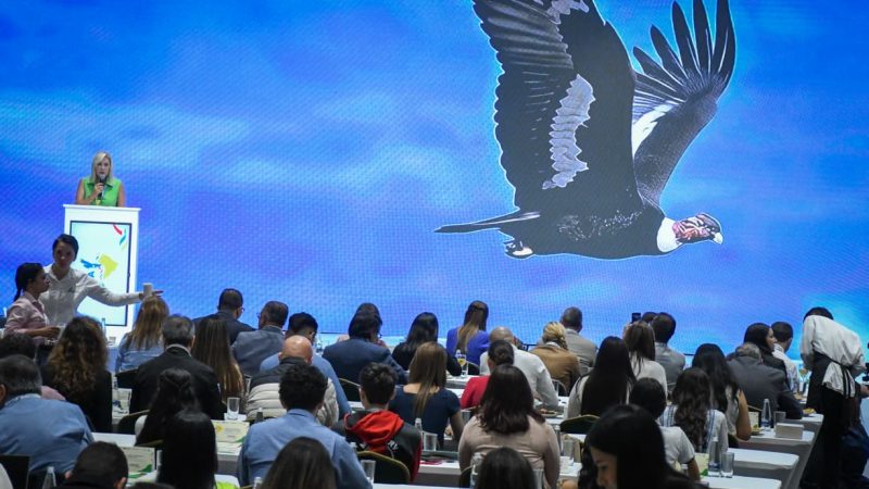 «La Cordillera de los Andes no necesita discursos, necesita decisiones”: directora de Cortolima en la instalación del ESCA*