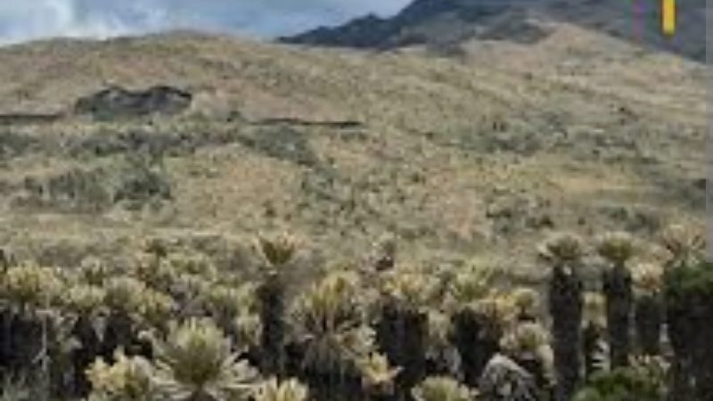 Así es el trabajo de conservación y educación ambiental en los municipios de la zona de páramo