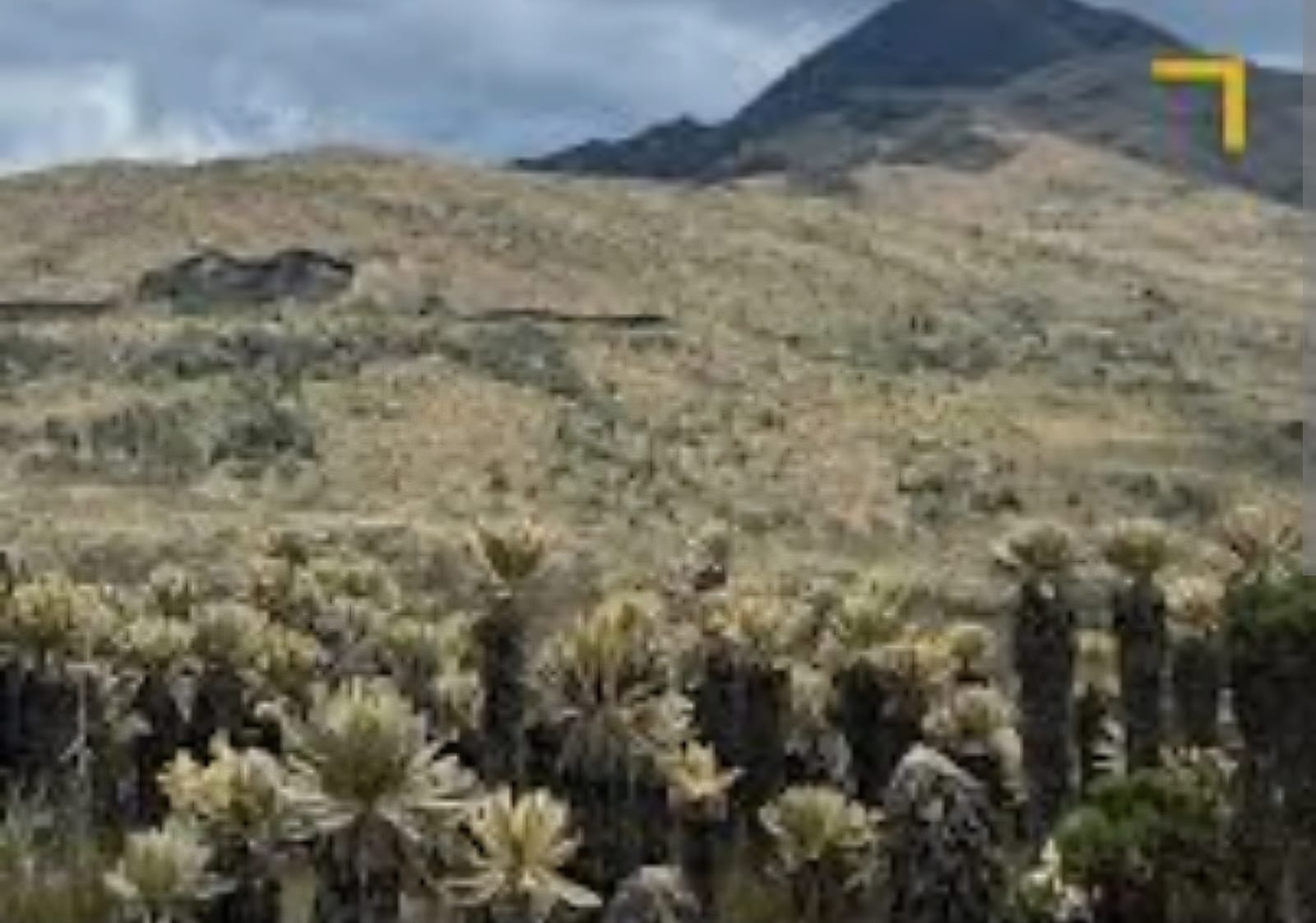 Así es el trabajo de conservación y educación ambiental en los municipios de la zona de páramo