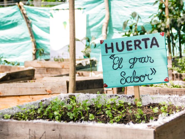 Conozca las inversiones de Cortolima en salud ambiental, saneamiento básico, y seguridad alimentaria