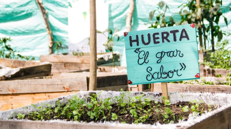 Conozca las inversiones de Cortolima en salud ambiental, saneamiento básico, y seguridad alimentaria