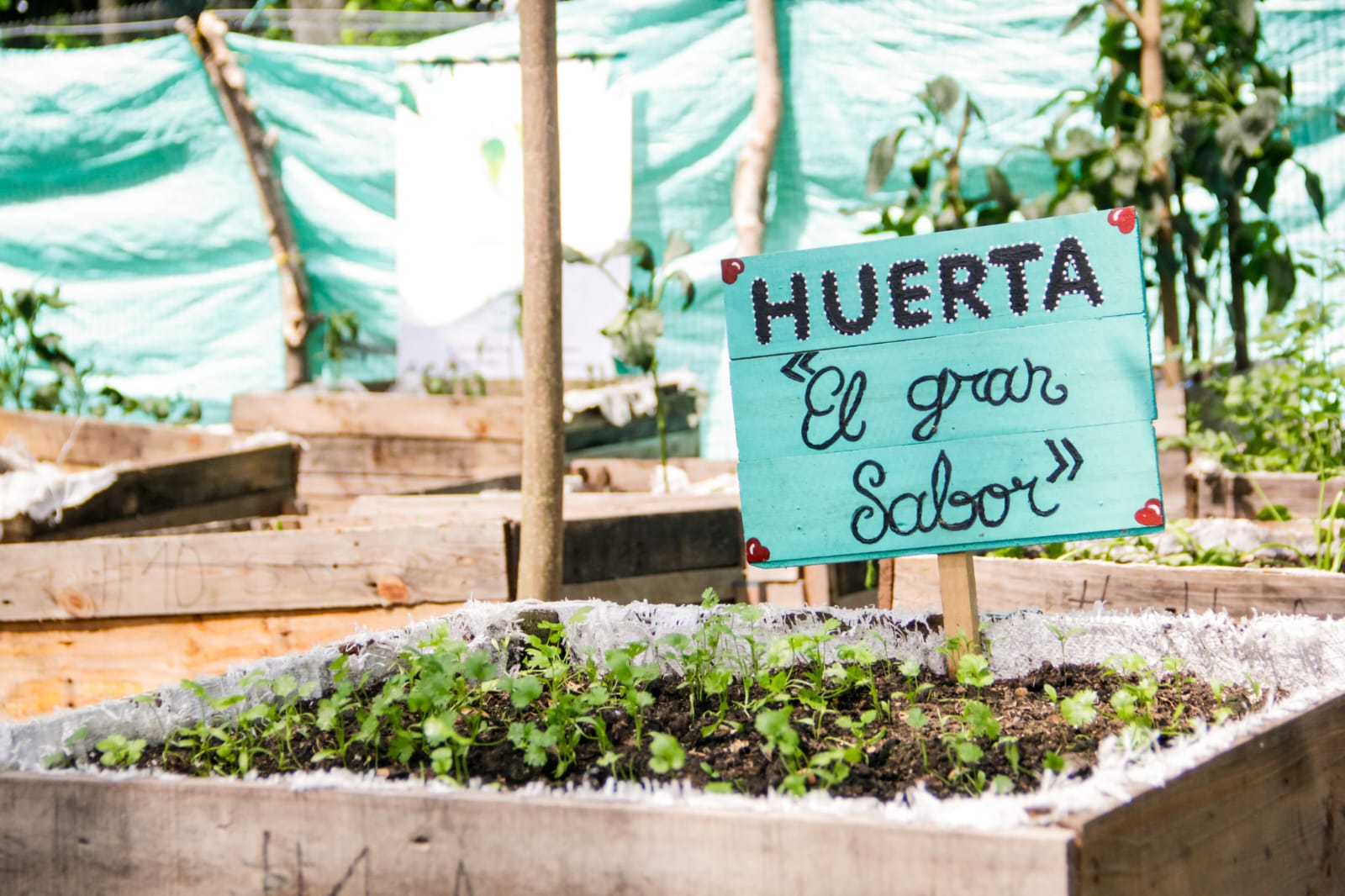 Conozca las inversiones de Cortolima en salud ambiental, saneamiento básico, y seguridad alimentaria